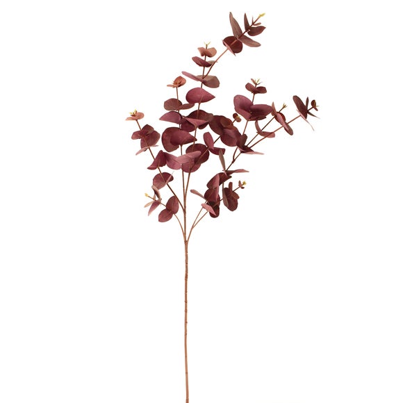 Premium Purple Eucalyptus Dunelm