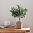 Churchgate Artificial Olive Tree in Basket Green