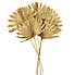 Pack of 6 Gold Dried Sun Spear Bundle Gold
