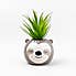 Artificial Plant in Sloth Pot Brown