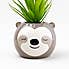 Artificial Plant in Sloth Pot Brown