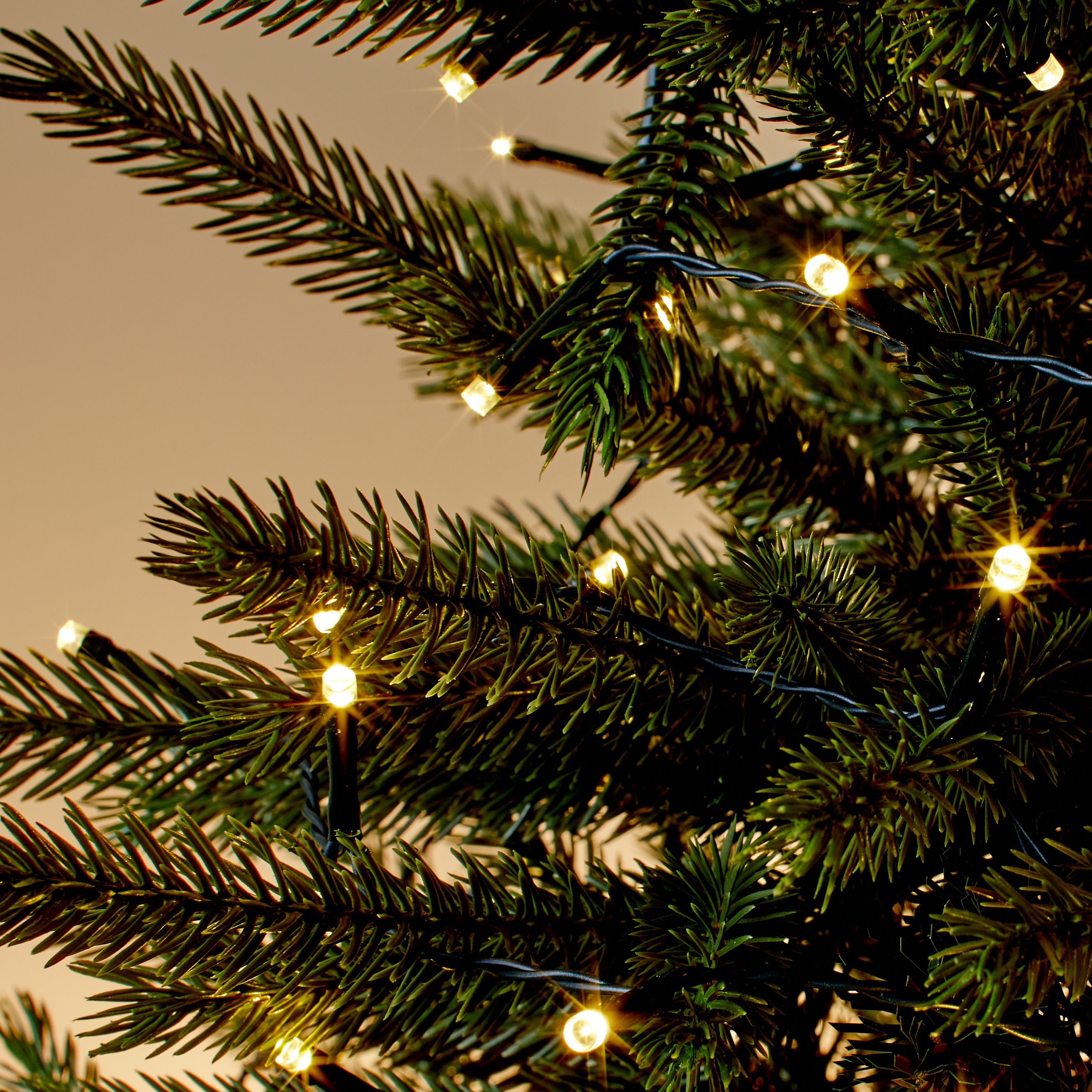 Christmas Lights - For Outdoors, Trees & Windows | Dunelm