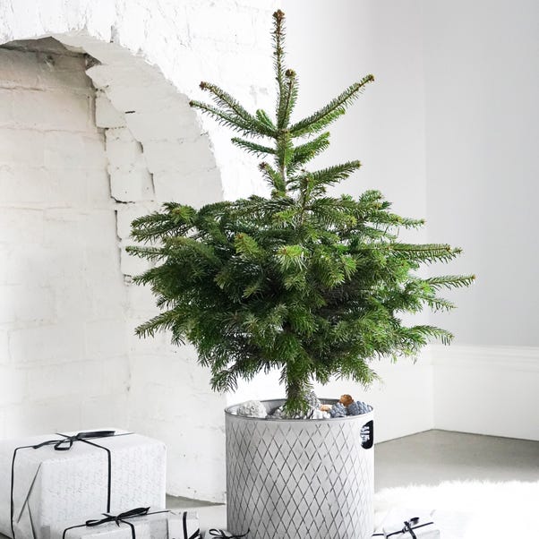 Indoor Zinc Christmas Tree Bucket  image 1 of 2