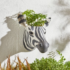 Zebra Wall Planter 
