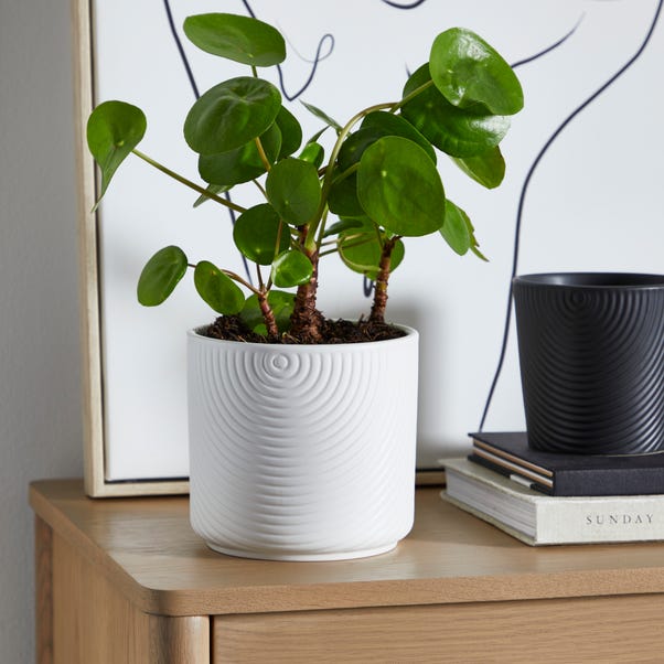 Ceramic Plant Pot Luxe White  undefined