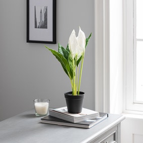 Artificial Peace Lily in Black Pot 50cm