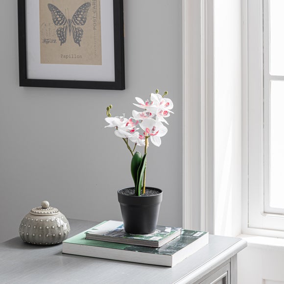 Artificial White Orchid In Black Plant Pot