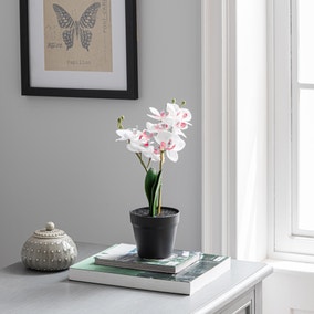 Artificial White Orchid in Black Plant Pot