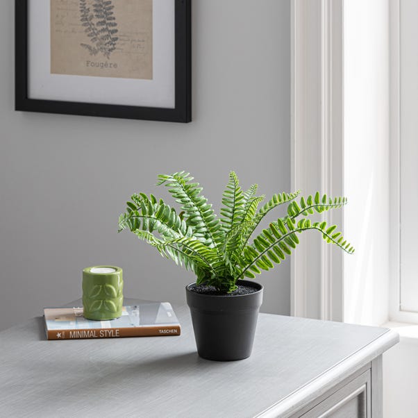 Artificial Fern in Black Plant Pot image 1 of 4