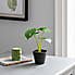 Artificial Cheese Plant in Black Pot 24cm Green