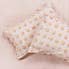 Linen House Haze Peach 100% Cotton Standard Pillowcase Pair Peach