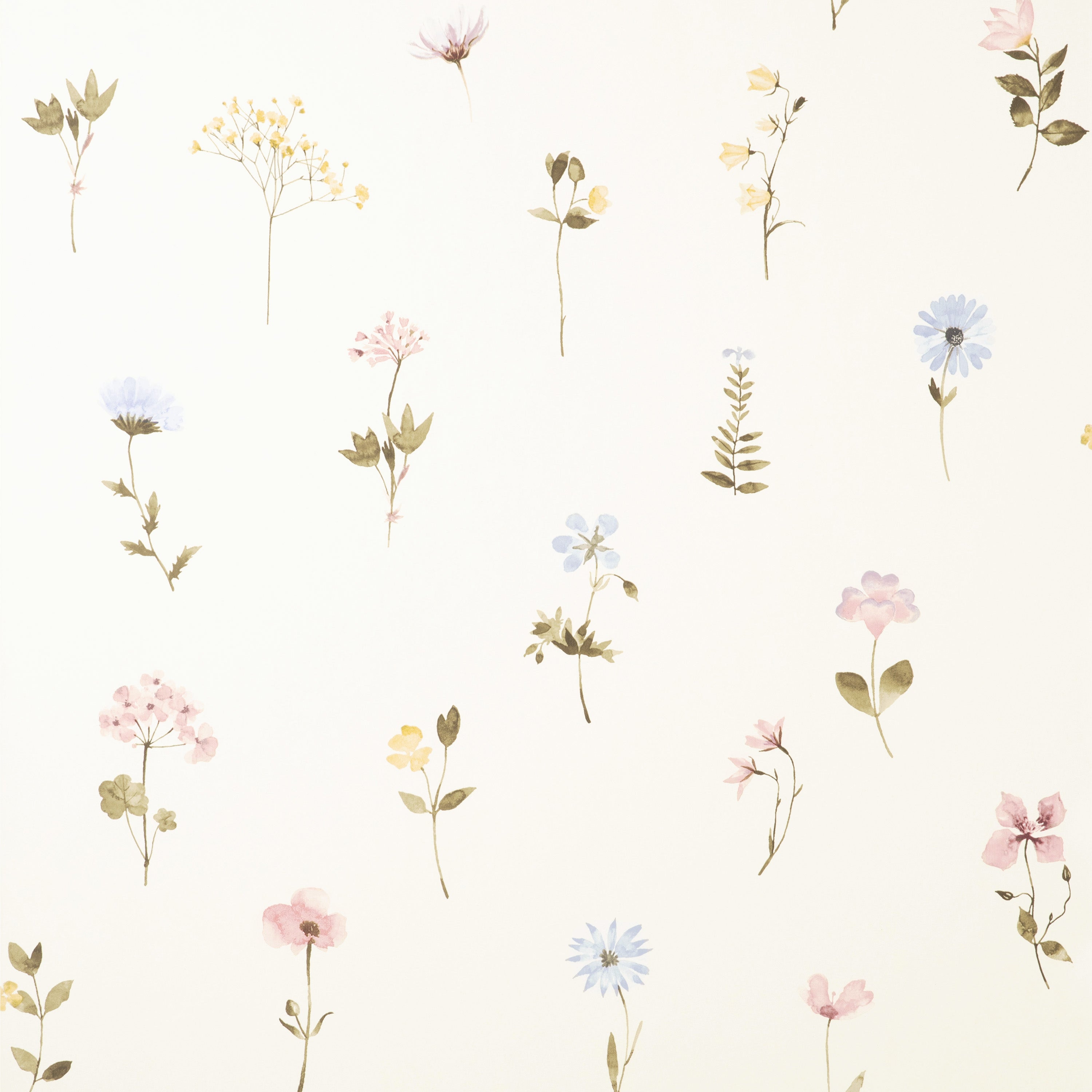 Pressed Flowers Wallpaper White