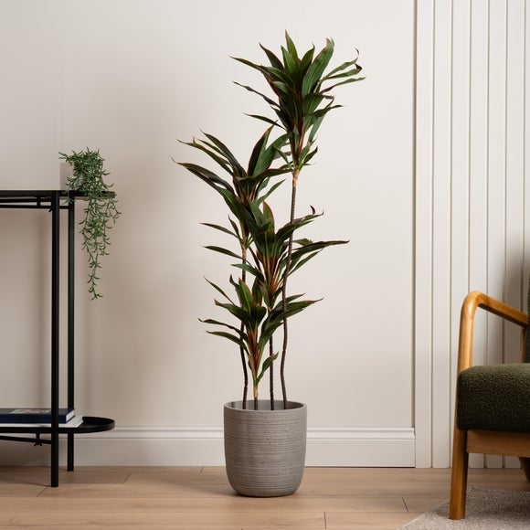 Artificial Real Touch Red Dracaena In Black Plant Pot