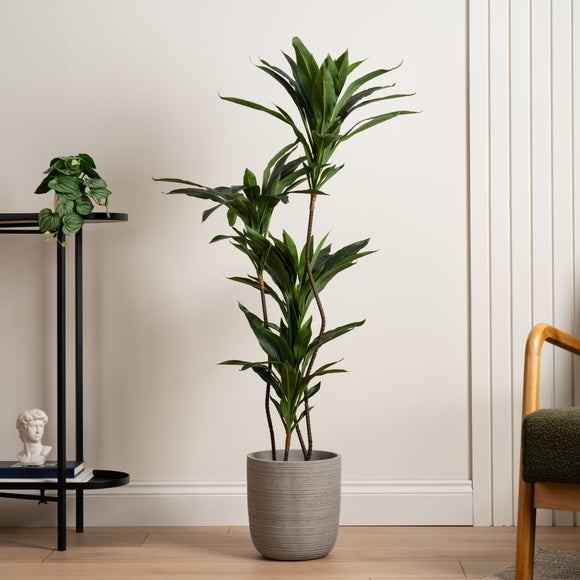 Artificial Real Touch Dracaena In Black Plant Pot