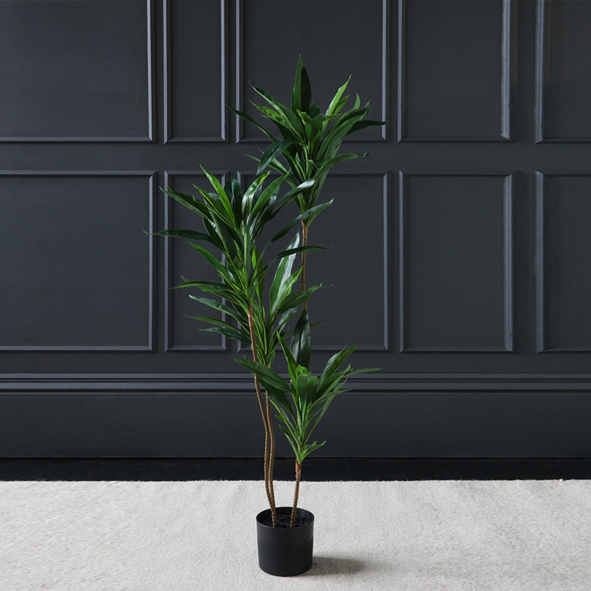 Artificial Real Touch Dracaena in Black Plant Pot
