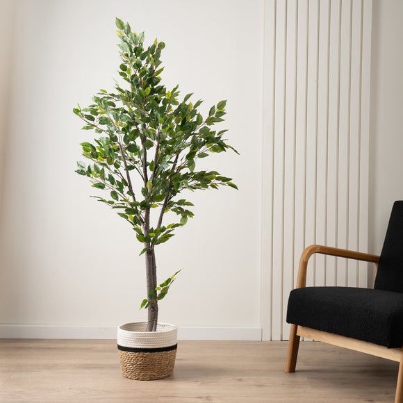 Artificial Mini Ficus Tree In Black Plant Pot