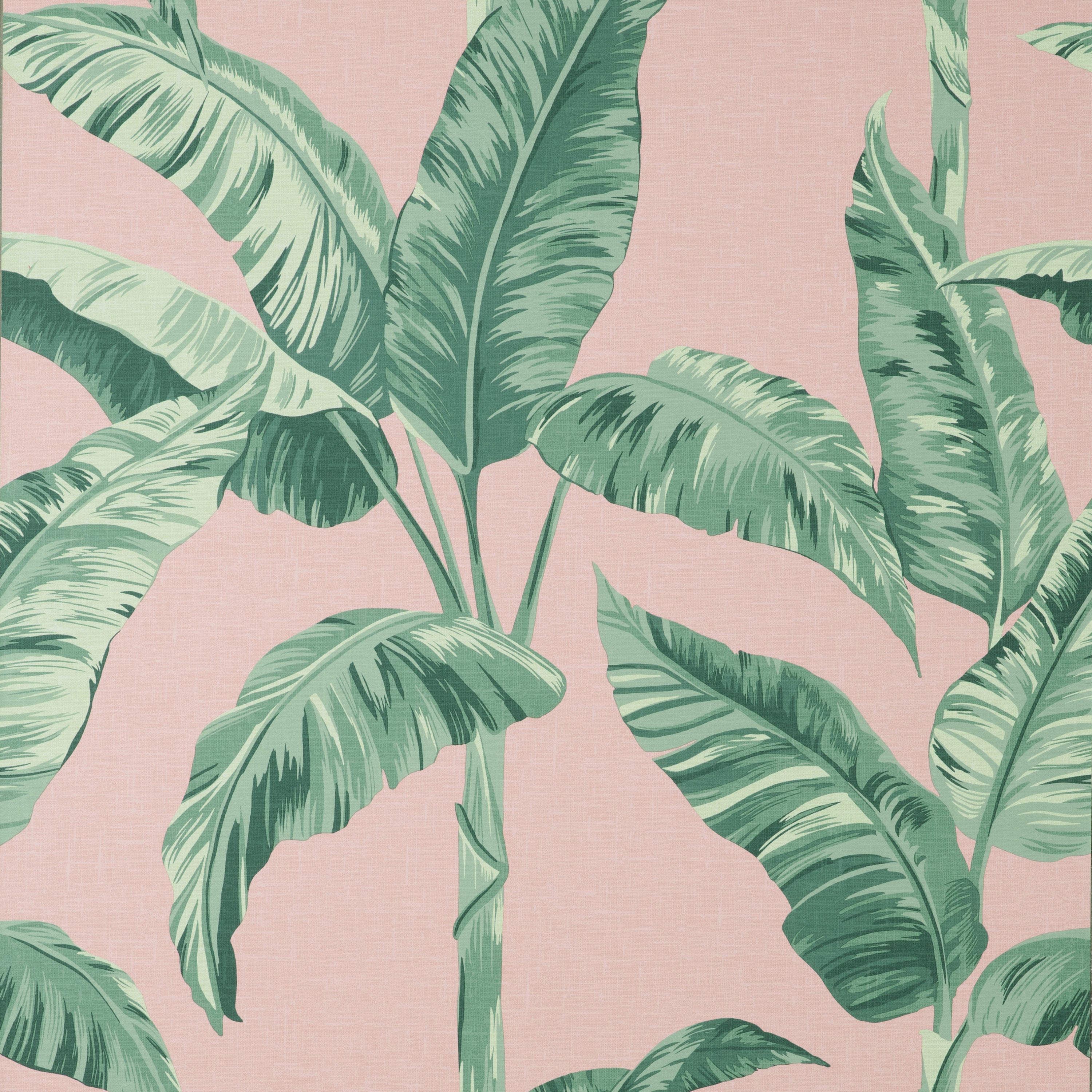 Banana Leaf Pink Wallpaper | Dunelm