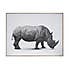 Wandering Rhino Abstract Framed Canvas Black and white