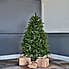 5ft Dunhill Fir Pre-Lit Christmas Tree Dark Green