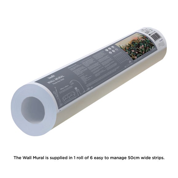 Carousel navigation image position 4 of 6