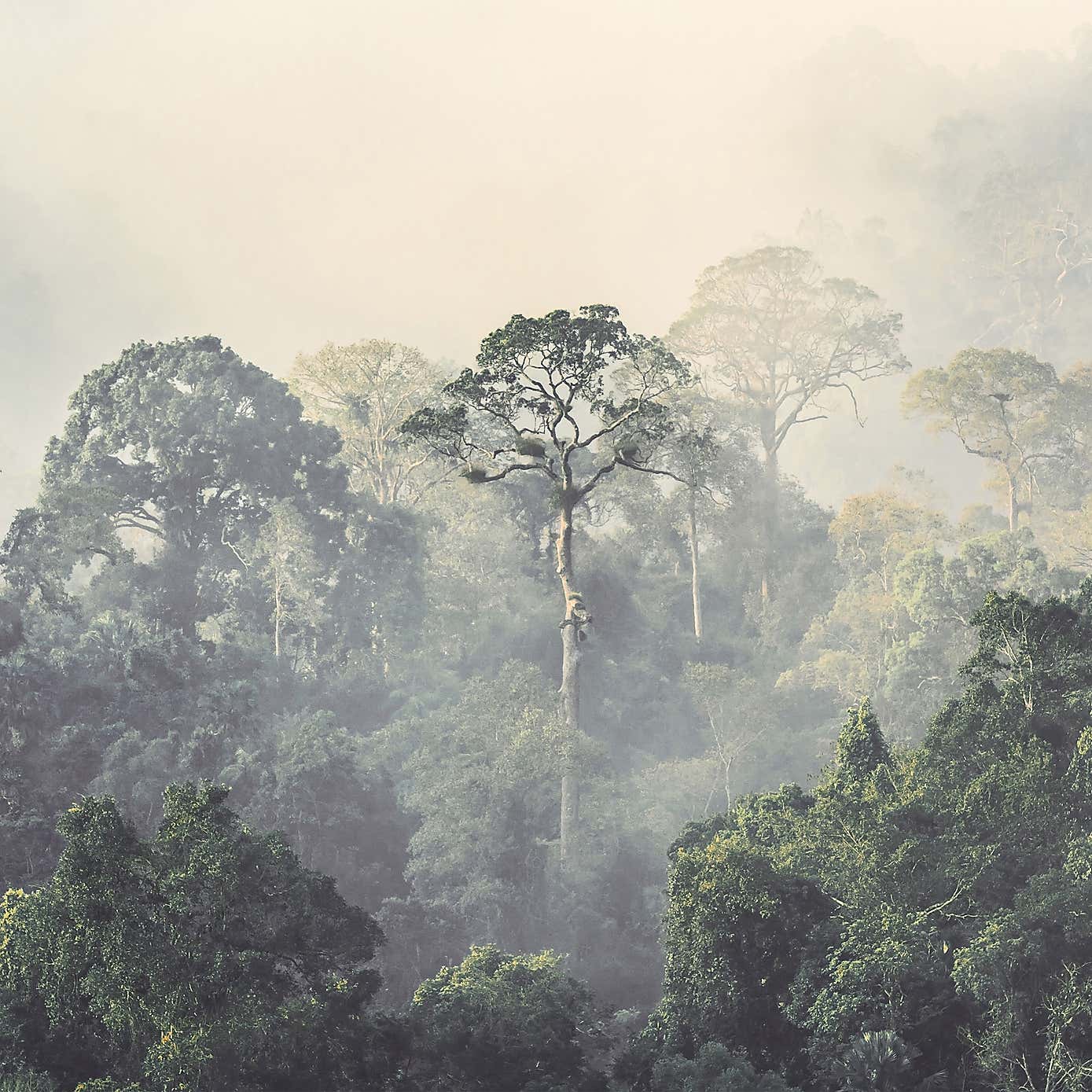 Carousel zoom image position 2 of 4