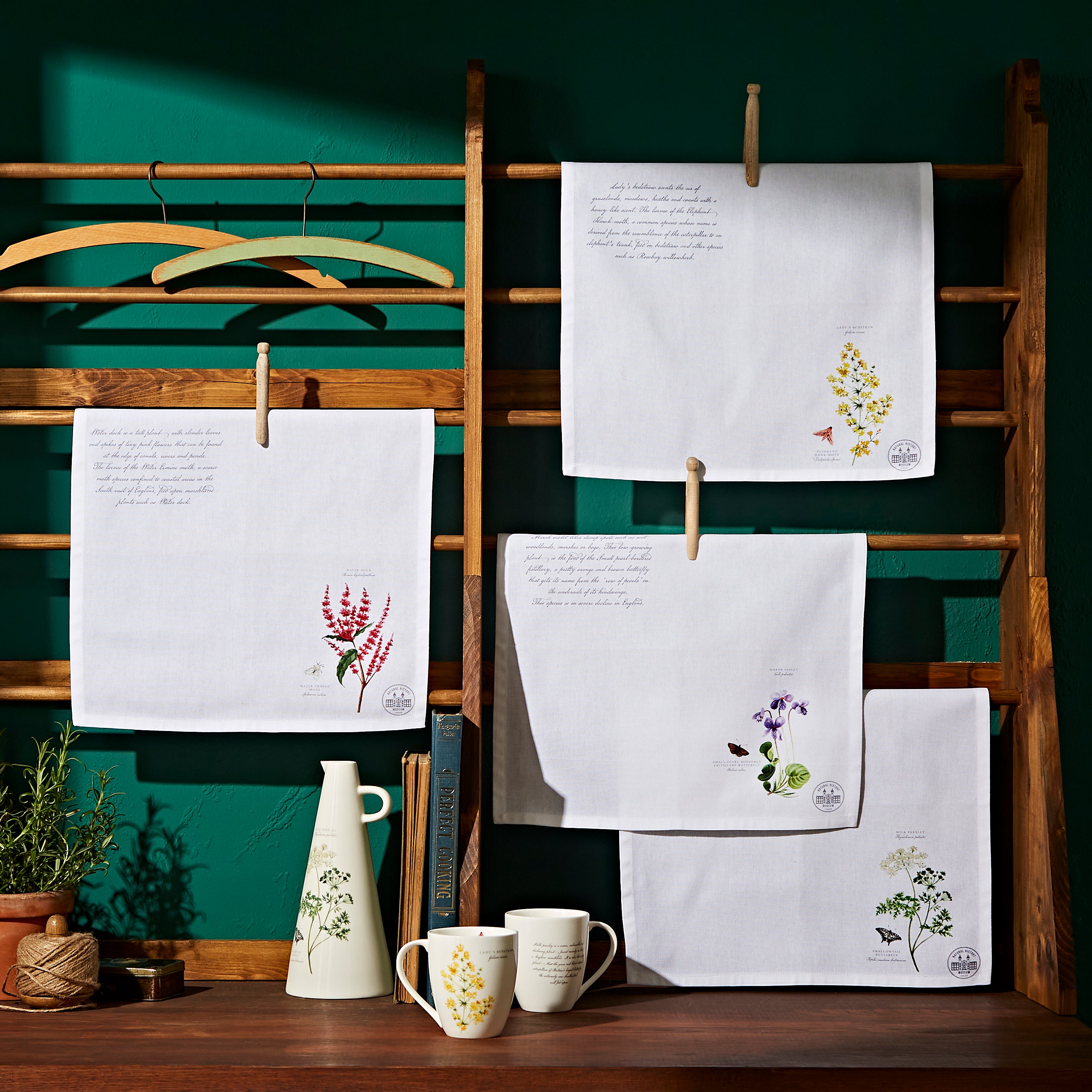 Set of 4 Marsh Botanical Print Napkin