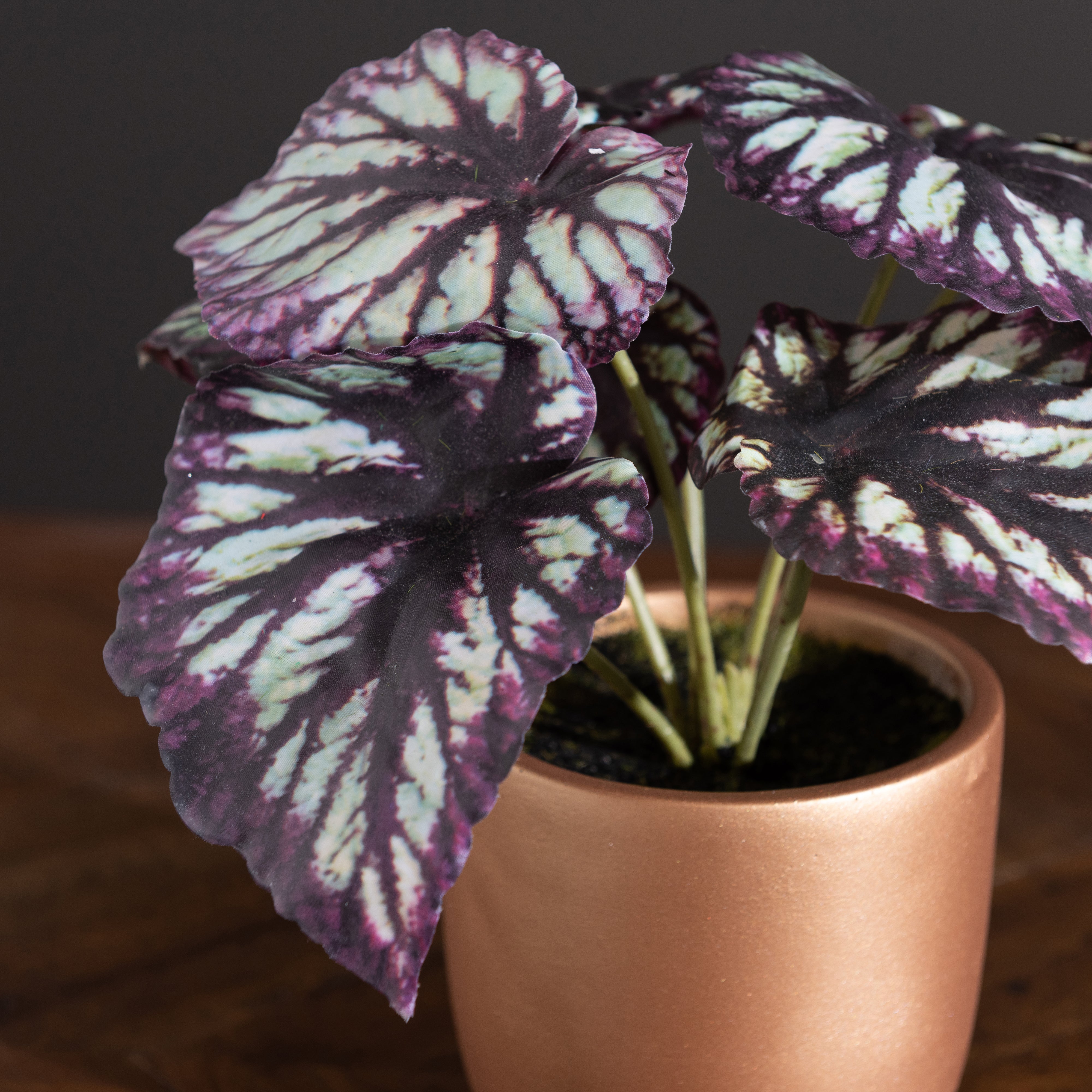 Begonia in Gold Pot | Dunelm