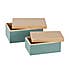 Set of 2 Wooden Lidded Boxes Green