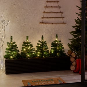 Set Of 4 Tree Path Lights