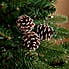 Snowy Painted Pinecone Pick 19cm Natural