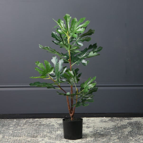 Fig Tree 71cm Green