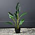 Real Touch Bird of Paradise 78cm Green