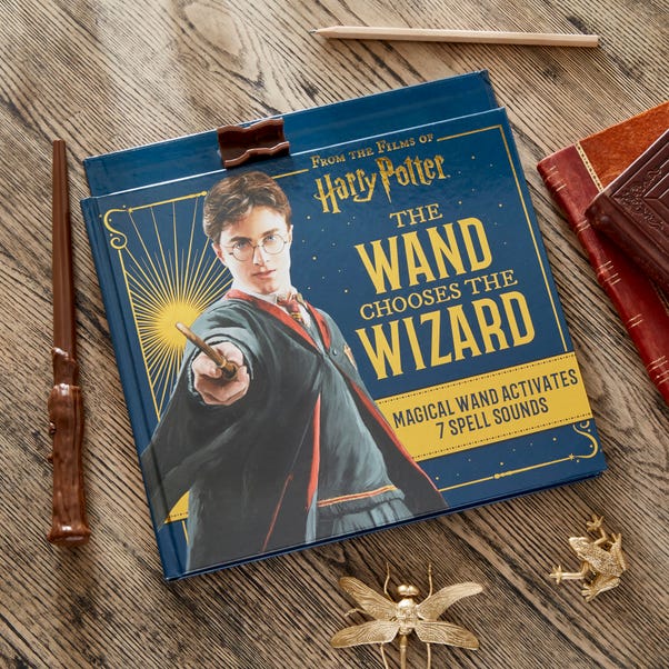 Harry Potter Wand Chooses Wizard Book Blue