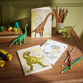Dinosaur Notebooks