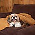 Scruffs Thermal Dog Blanket Brown
