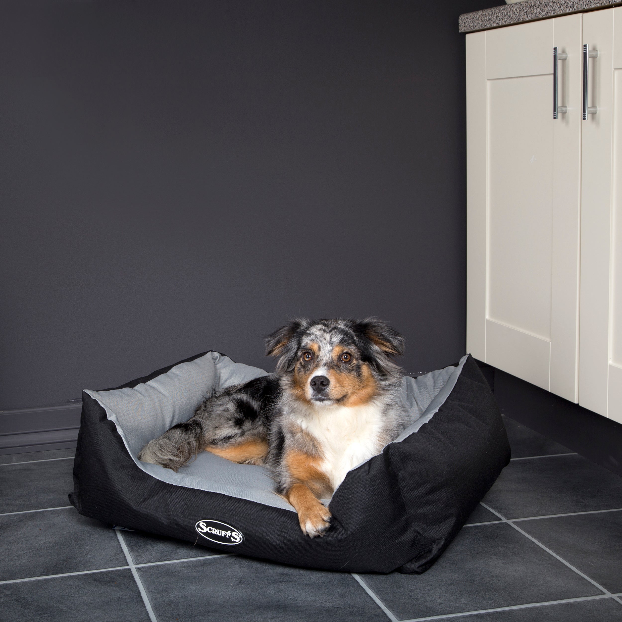 Scruffs Pet Expedition Box Bed Grey