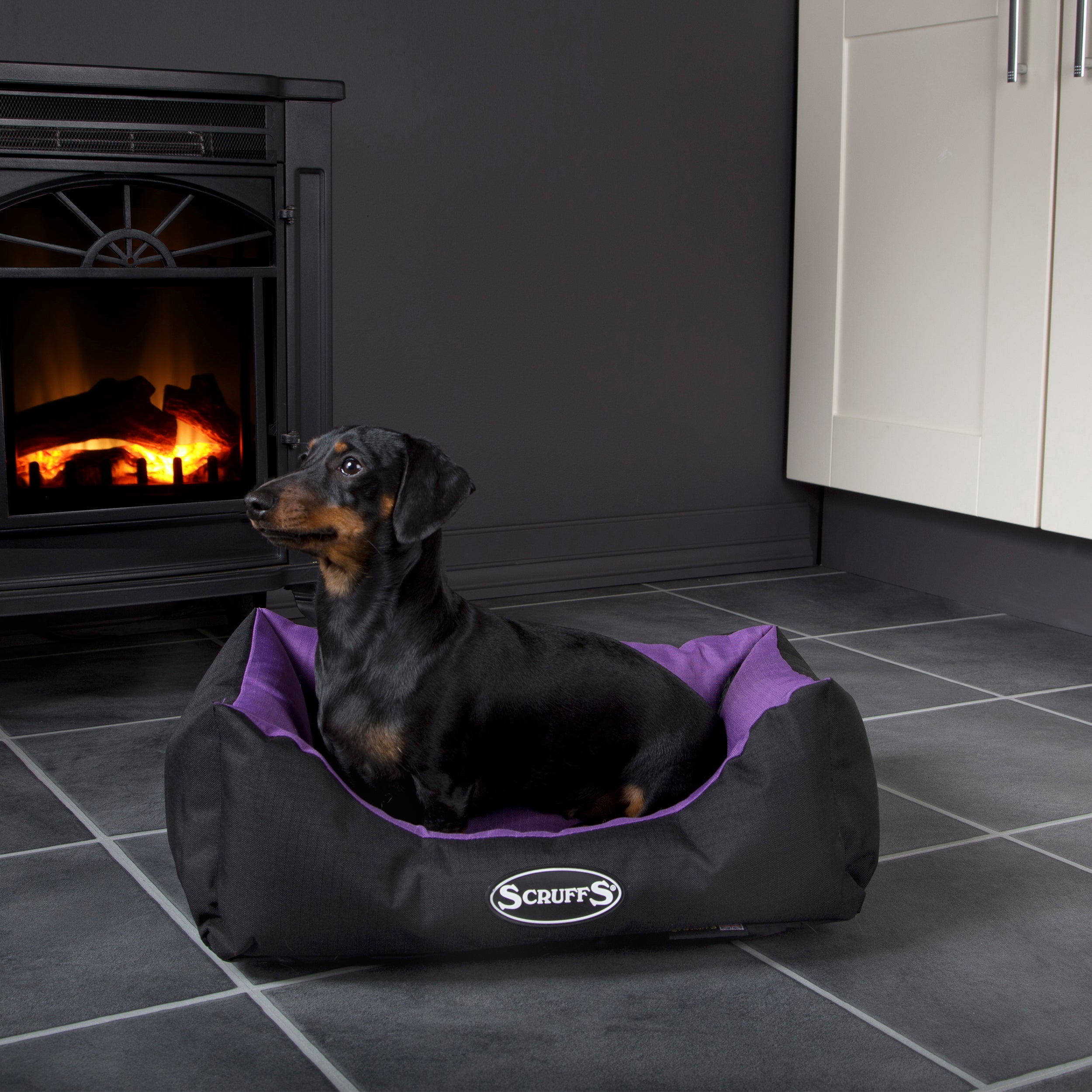 Scruffs Pet Expedition Box Bed Purple