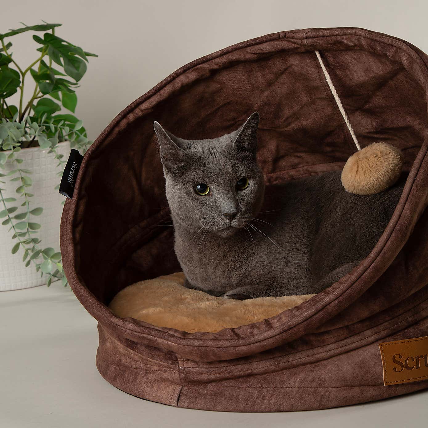 Carousel zoom image position 2 of 9