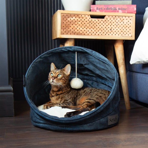 Blue clearance cat bed