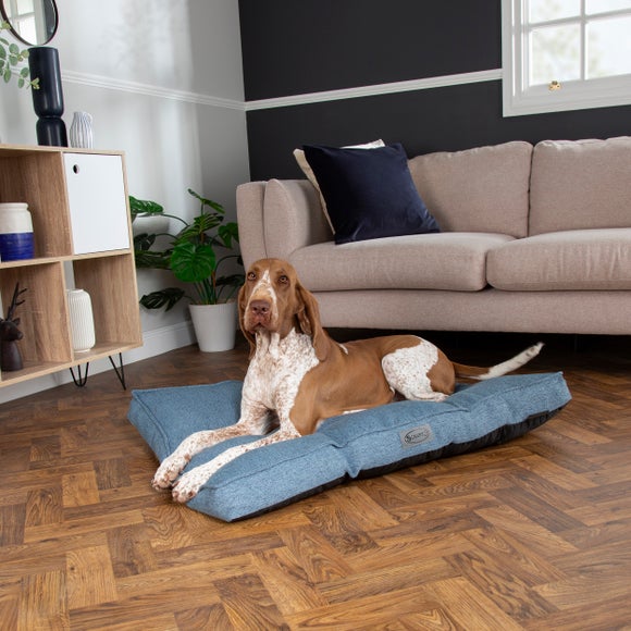 Dunelm dog clearance beds