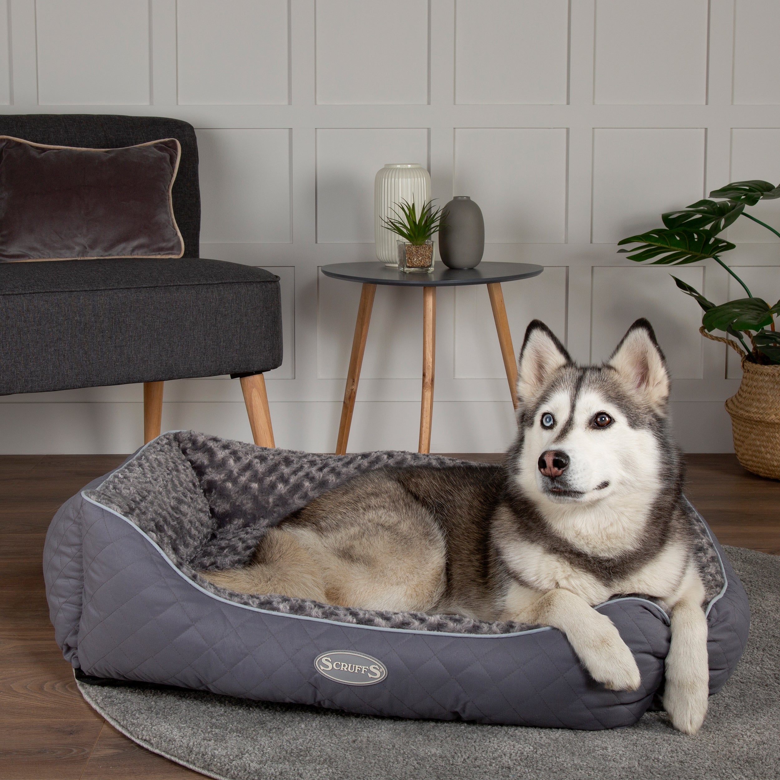 Photos - Bed & Furniture Scruffs Pet Wilton Box Bed Grey 
