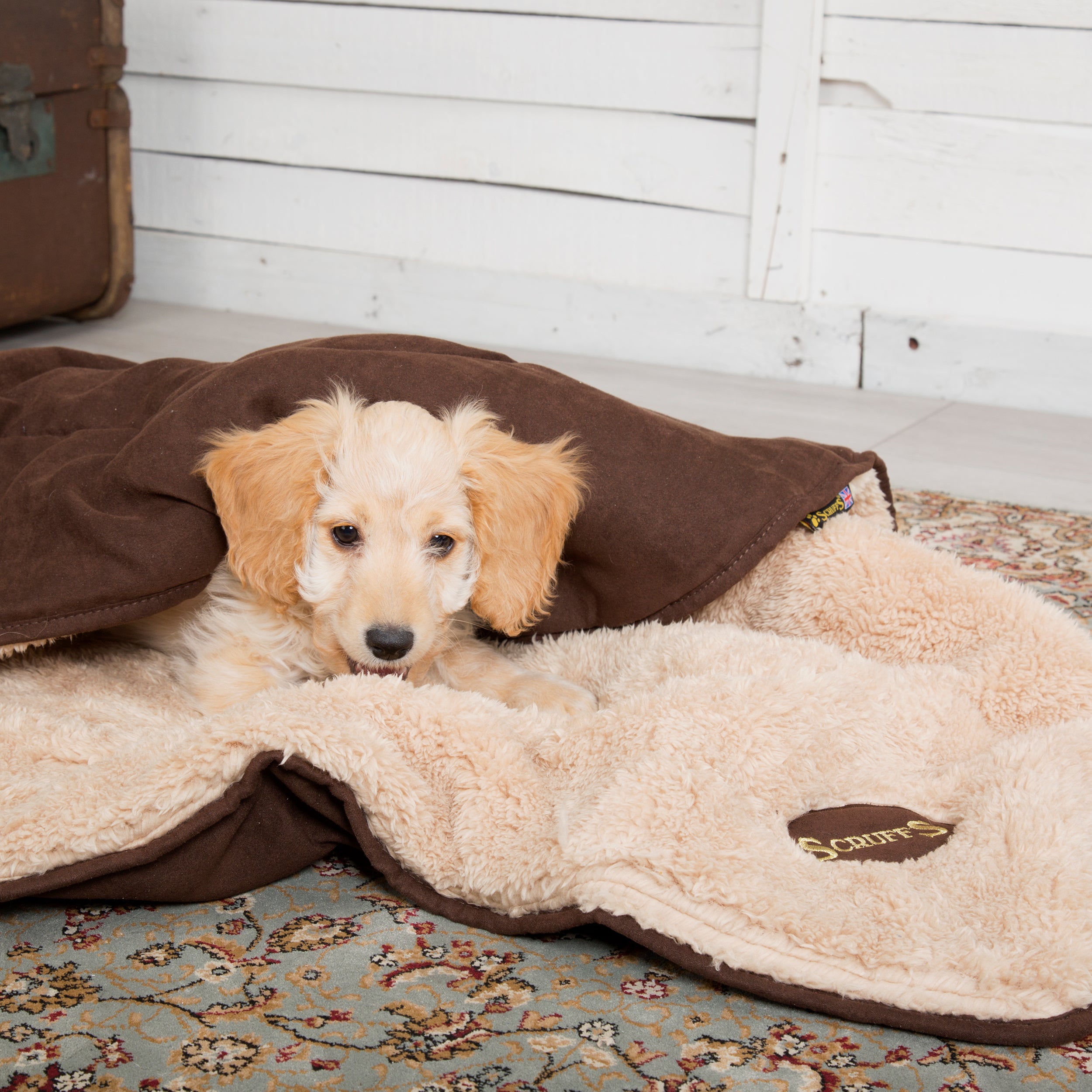 Scruffs Snuggle Dog Blanket Brown