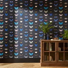 Butterfly Curator Raven Wallpaper