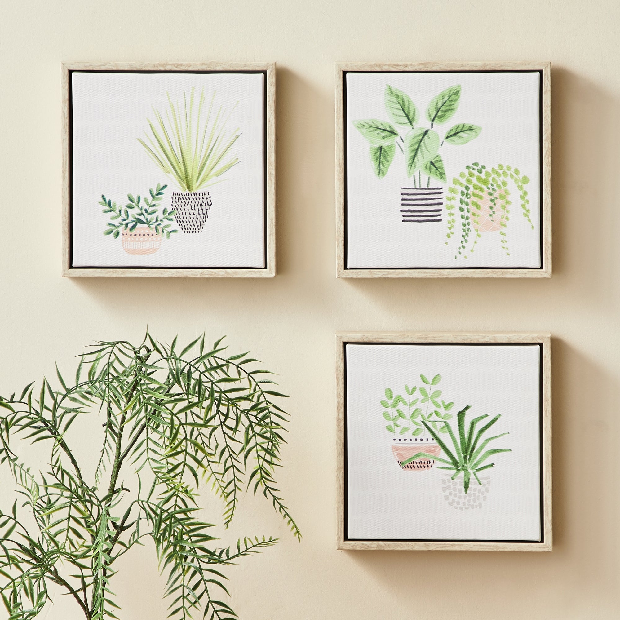 Set of 3 Plants Canvases