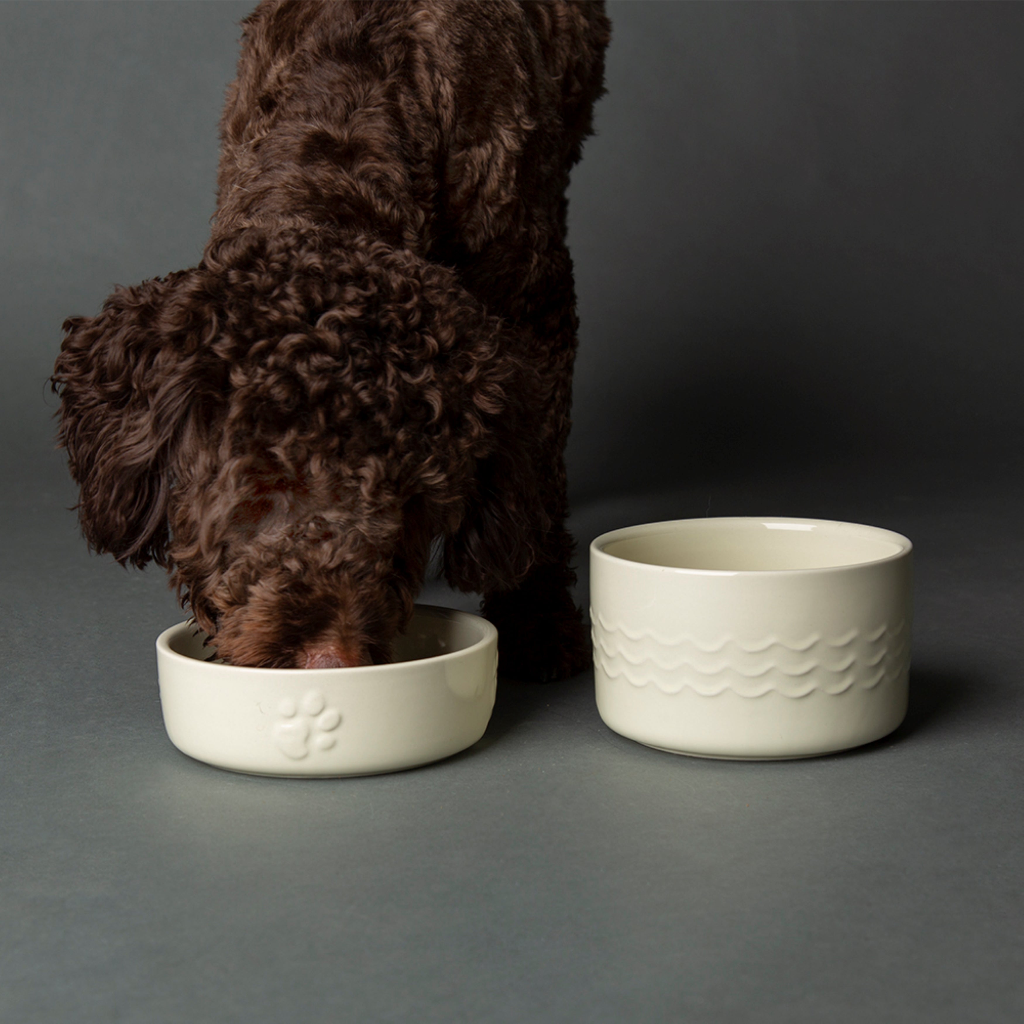 Scruffs Set of 2 Medium Icon Dog Bowls Cream