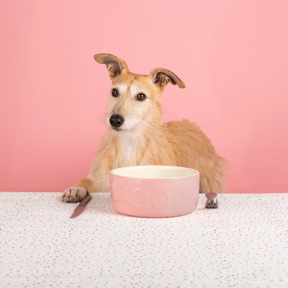 dunelm dog bowl