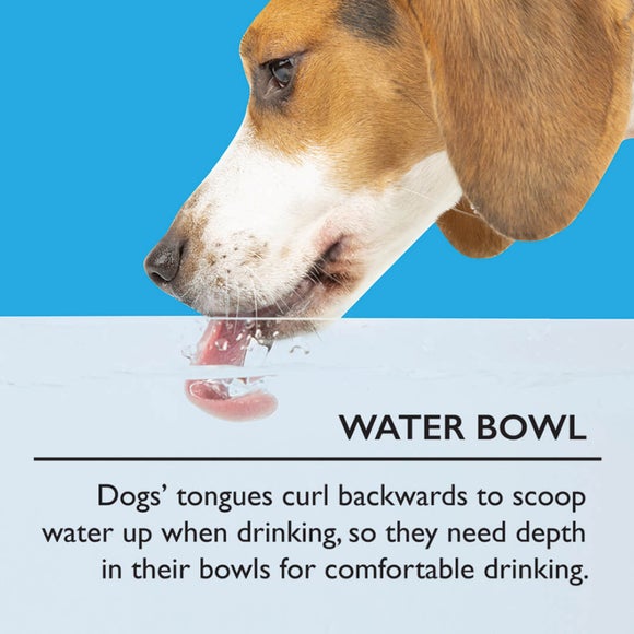 Scruffs Set of 2 Large Icon Dog Bowls