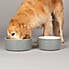 Scruffs Set of 2 Extra Large Grey Food and Drink Dog Bowls Grey