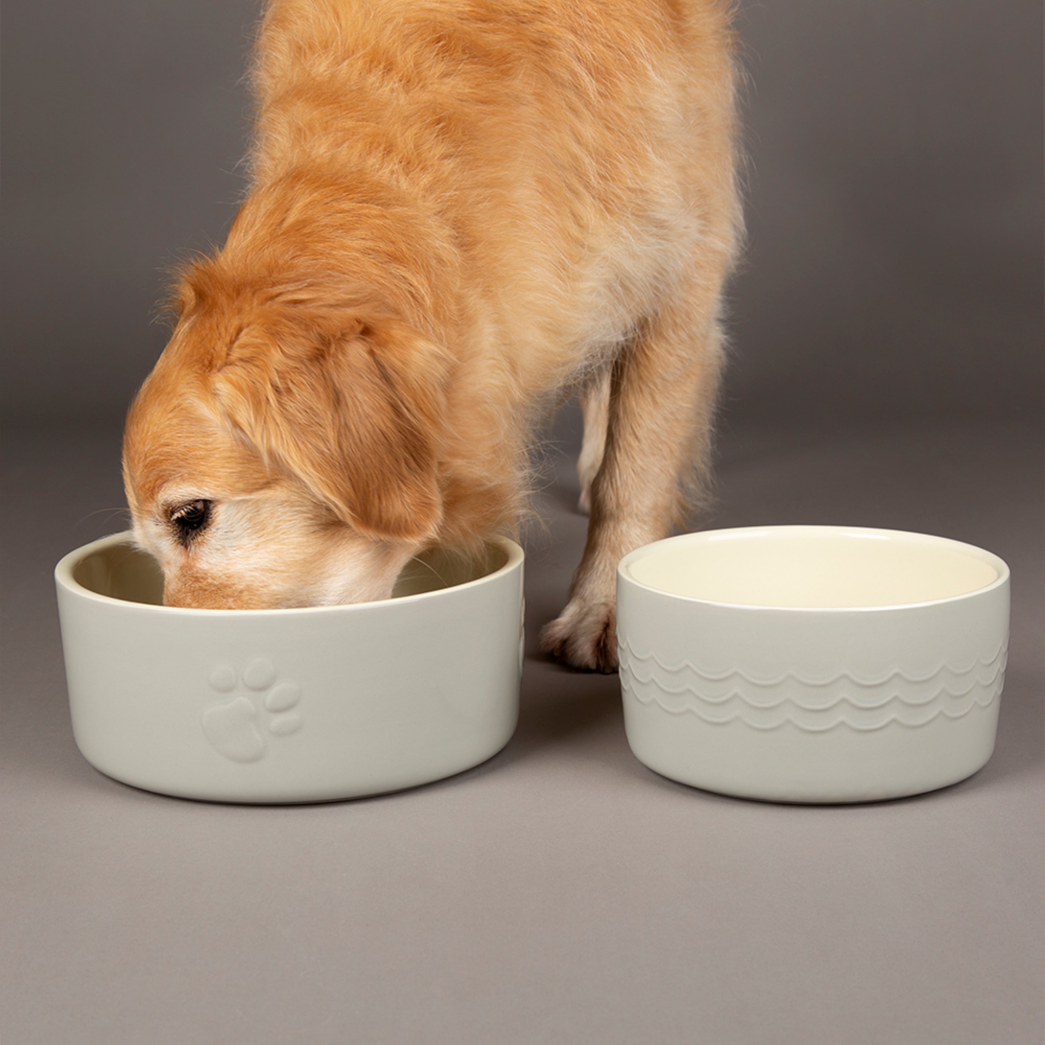 Scruffs Set of 2 Extra Large Icon Dog Bowls