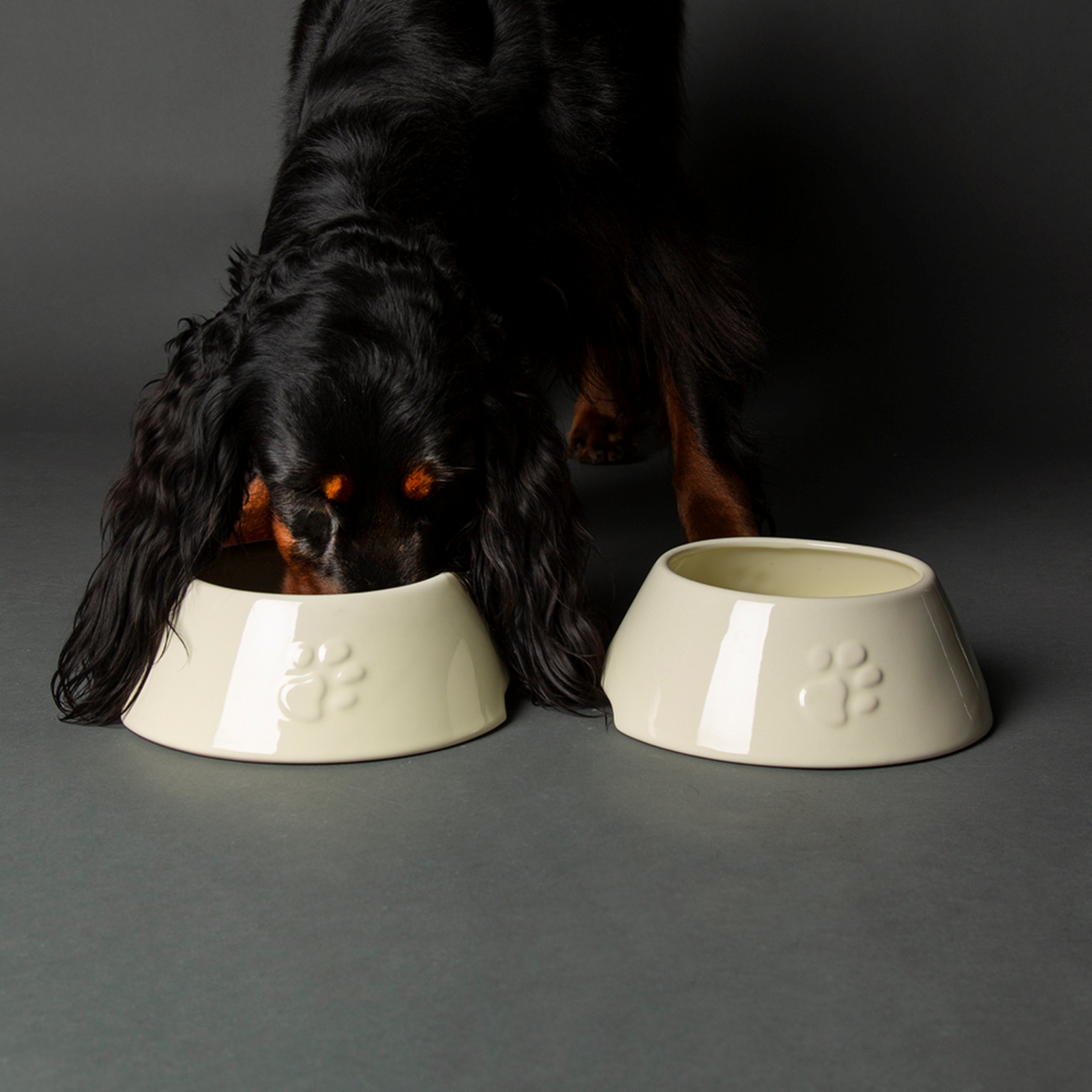 Scruffs Set Of 2 Long Eared Dog Bowls Cream